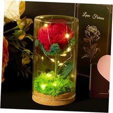 Crochet Preserved Rose in Glass Dome with LED Light Hand-Knitted Flower Red