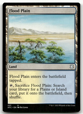 #ad #ad Flood Plain #237 NM Forgotten Realms AFC Magic MTG $2.99