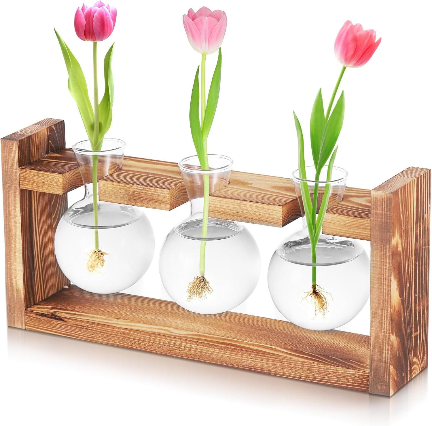 Propagation Station, Plant Terrarium Jar with Wooden Base