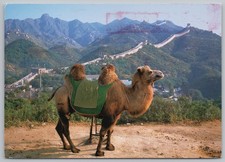 Camel Great Wall of China Badaling Mtn Peaks 1994 to Villa Hills KY Postcard 4x6
