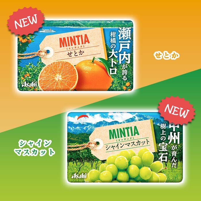 その他 minty. Amazon.com: TeaZA Energy Pouches, Tobacco Free Nicotine Free