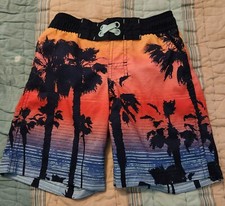 Cat  Jack Boys Size XS 4/5 Swimming Trunks With Lining Beach Palm Sunset