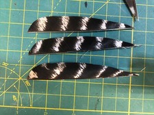 4" Right Wing Parabolic Natural Barred Feather Fletching, 25Pk Archery      