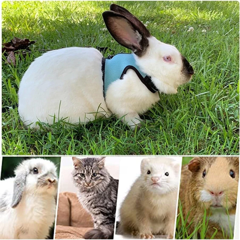 2 Stück Haustier Kaninchengeschirr Weiches Kaninchen Geschirr Mit Leine Verstell - Bild 3 von 4