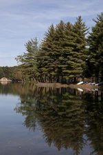 Photo:Dunning Lake in Farmington,Connecticut 1