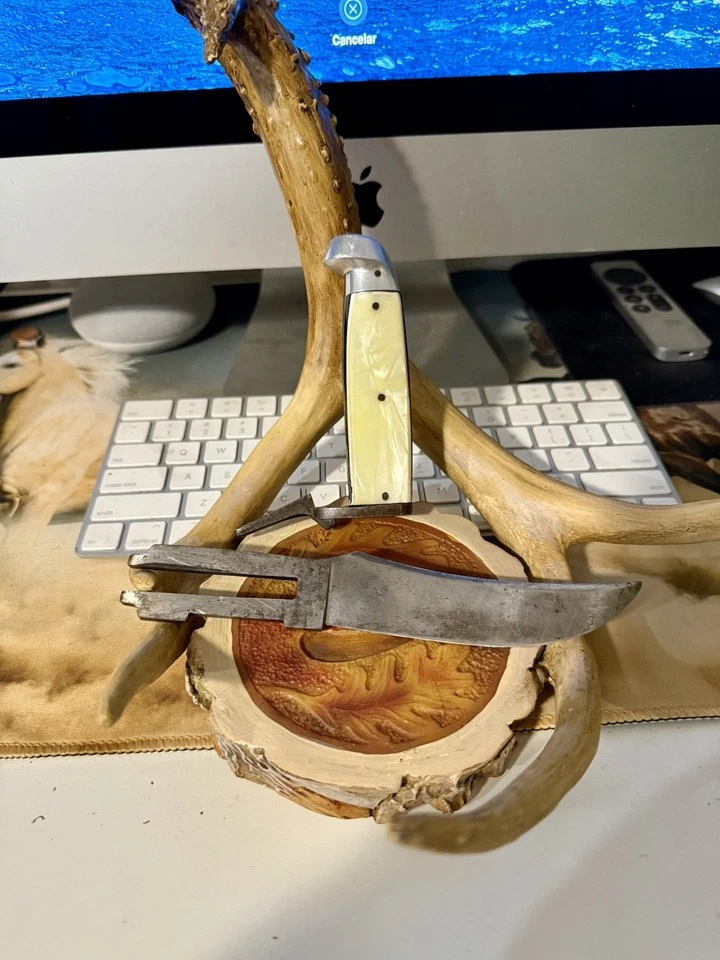 Cuchillo Western What Pearl mango de ciervo mango con mango intercambiable con funda Foto 4 de 4