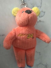 Jeff Gordon 24 Plush Stuffed Animal Toy Bear 6" in Tall