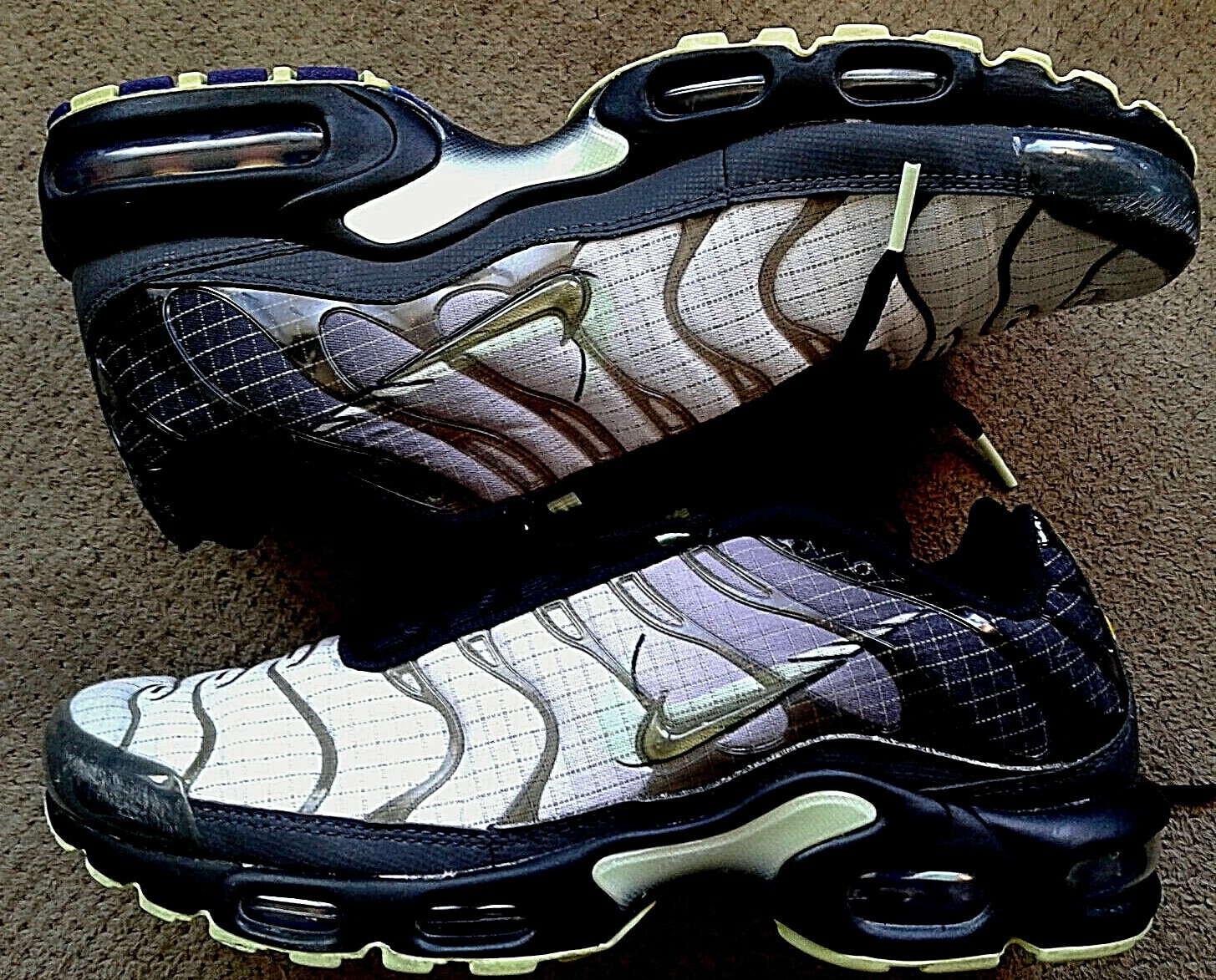 air max plus future swoosh