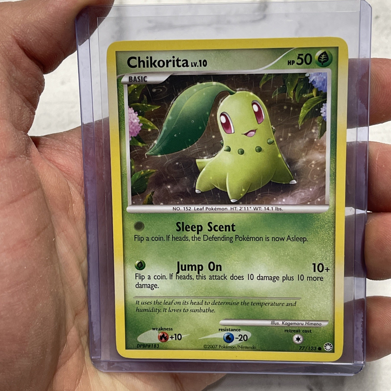 Chikorita 77/123 Mysterious Treasures Pokémon TCG Regular NM Near Mint 2007 Card
