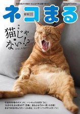 Nekomaru Summer/Autumn 2026 | Japanese Cat Ma...
