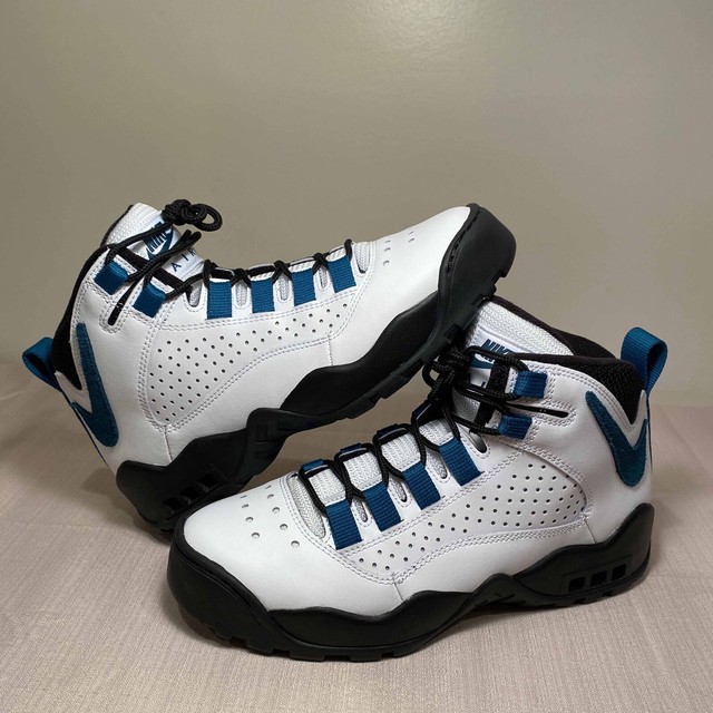 nike air darwin teal