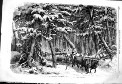 Altes 1858 Holzfäller Braunschweig Holzfäller Waldlager Haus Fahrstämme viktorianisch