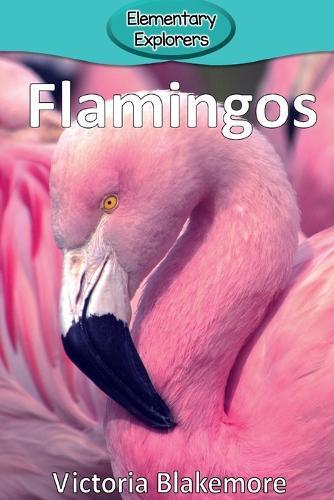 Victoria Blakemore Flamingos (taschenbuch) Elementary Explorers (us