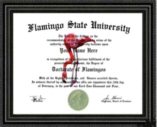 Flamingo Lover's Doctorate Diploma / Degree Custom made & Designed for YOU