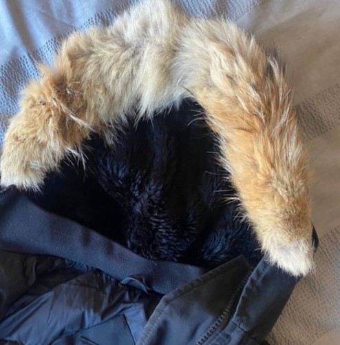 Women's CANADA GOOSE Kensington Parka Down Puffer Jacket Coat Fur Black (Small) - Picture 3 of 9