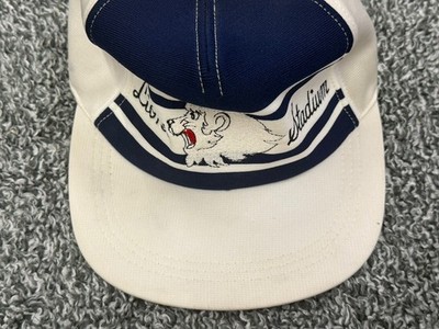 Vintage NPB Saitama Seibu Lions Stadium Baseball Cap Hat VTG | eBay