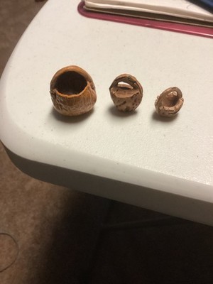 3 Peach pit miniature basket vintage folk art freestanding 