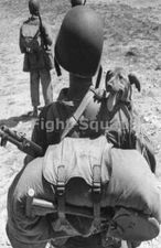 WW2 Picture Photo US Marine Carrying His Dog Towards the Front  4340