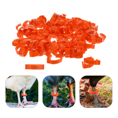 100 Pcs Volaille Jambe Sangle Pigeon Étiquettes pour Pieds Poulet vendre Jambes Bébé