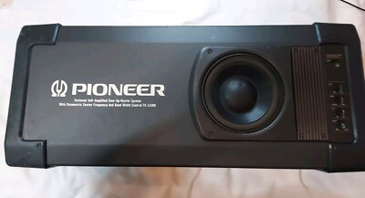 PIONEER TS  LX100 AMPLIFIED SUBWOOFER