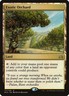 MTG Magic the Gathering Exotic Orchard (117/187) Planechase Anthology LP