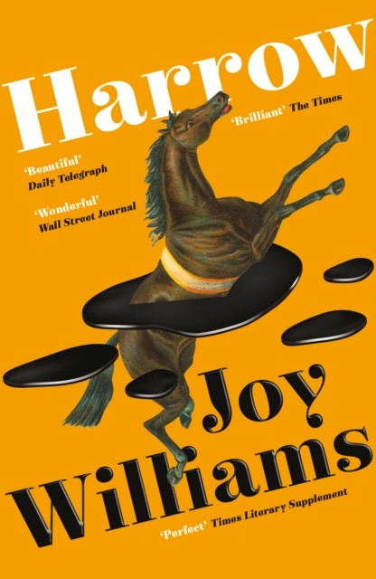 Harrow by Joy Williams (Paperback Book)
