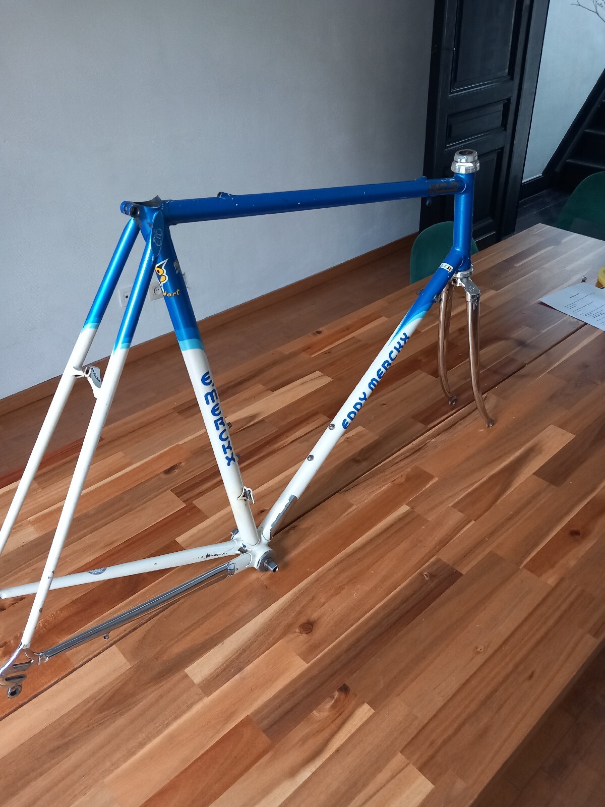 eddy merckx frameset