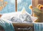 ACEO print limited edition ATC sleeping tabby kitten at window by Anna Hoff