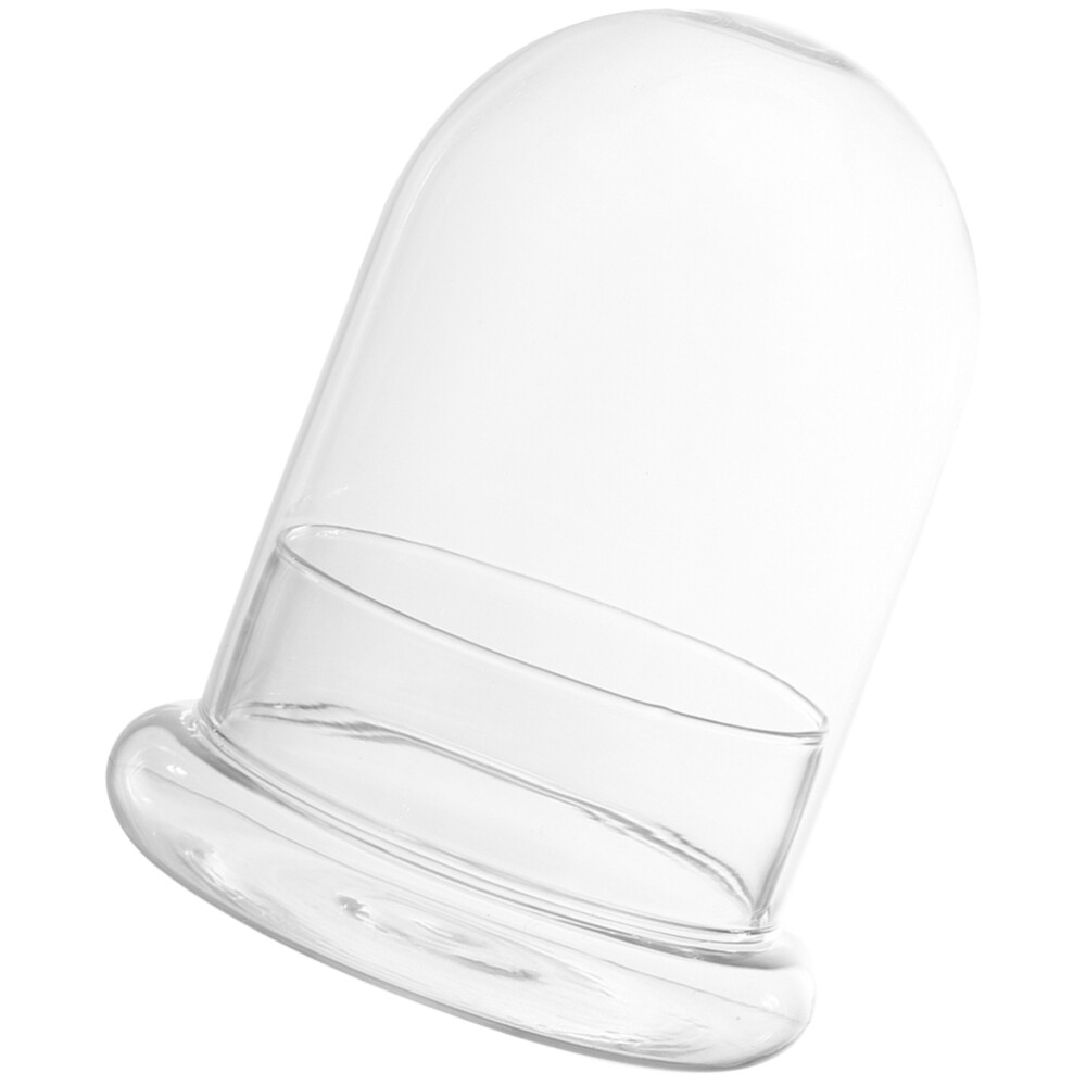 Vertical Terrarium Glass Specimens Clear Cloche Display Bell Jar