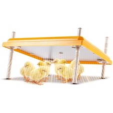 Large Chick Brooders Heating Plate 15.7 x 15.7 Brooder 15.7" x 15.7" Yellow