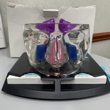 Anatomical Model Face Sinus Ear Allergy New Pharmaceutical Promotion