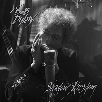 Bob Dylan Shadow Kingdom (2 Lp's) Records & LPs New
