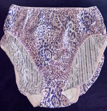 Warner's Vintage Rare  High French Leg M Y2K Naked Stripes Silky  Brief Panties