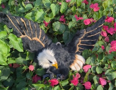 3D America USA Flying Bald Eagle Bird Wall Hanging Rabbit Fur Feathers 18 x 13