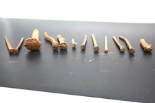 Antique Railroad Square Nails, 12. Some straight. Some bent. Different sizes