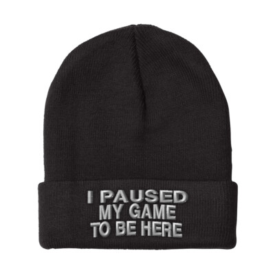 Beanies for Men I Paused My Game to Be Here Embroidery Funny Acrylic Skull Cap
