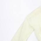 Bild 8 von 12