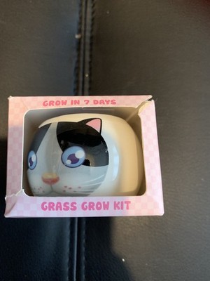 Katzen Gras Growset