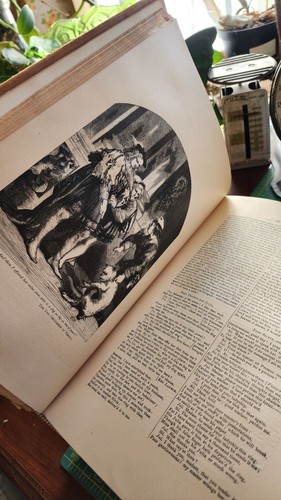 Leder Das komplette Werk von William Shakespeare spielt Gedichte illustriert 1882 - Bild 13 von 19