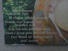Bild 3 von 8
