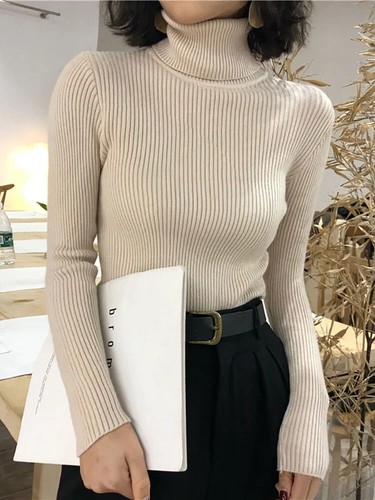Rollkragenpullover Damen 2024 Herbst Winter Oberteile Korean Slim Damen Pullover Neu - Bild 13 von 38