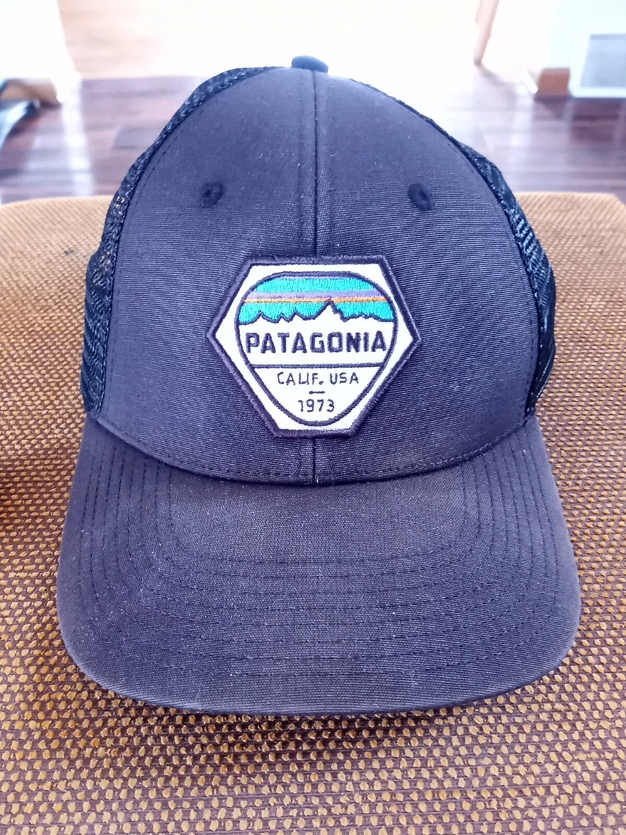 Patagonia fitz sale roy hex