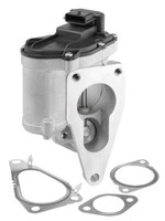 BorgWarner (Wahler) 712018D Agr-Ventil FüR Renault Suzuki