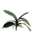 Artplants KunstbläTter Phalaenopsis Orchidee Xiaoqin Mit Luftwurzeln, 30 Cm
