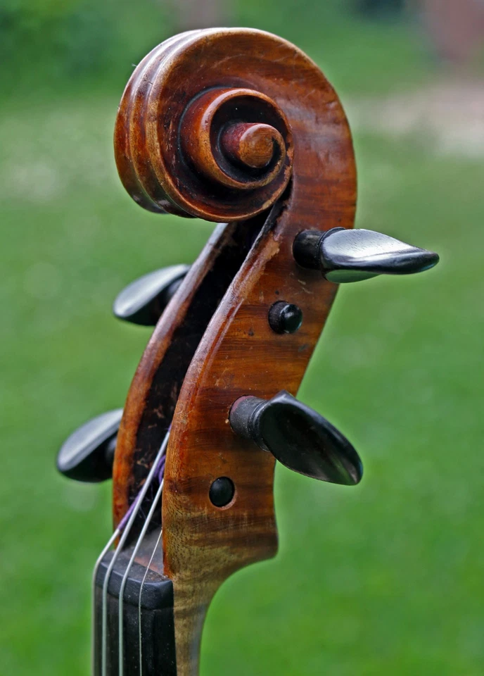 Antique Old Master Germany violin by Bruno Callsen 1902, LISTEN to VIDEO! - Image 4 of 4