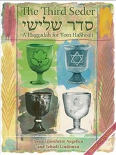 THE THIRD SEDER: A HAGGADAH FOR YOM HASHOAH By Irene Lilienheim Angelico VG