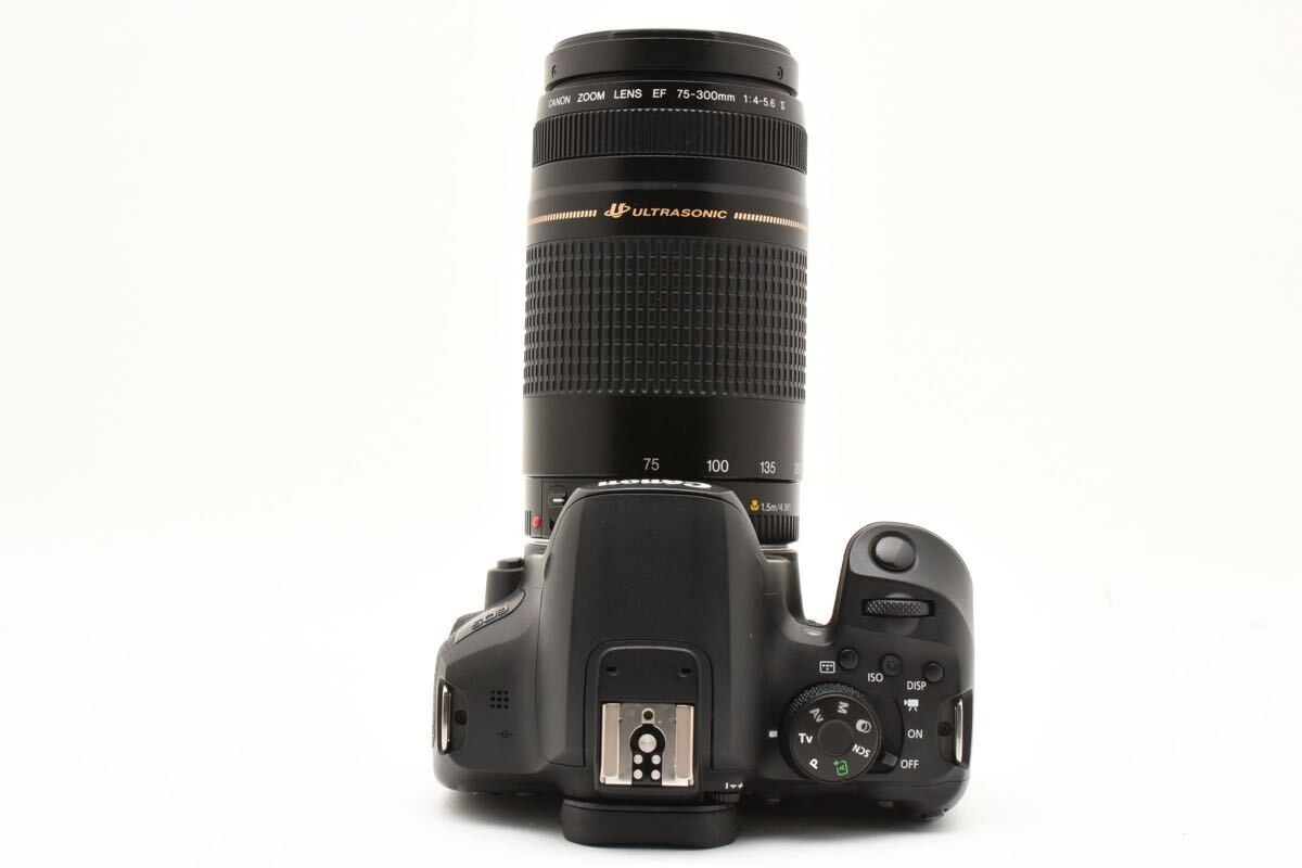 保証付き/canon kiss x 10i/Canon EF 75-300mm Canon - 保証付き/canon kiss x 10i/Canon EF 75-300mmの通販 by