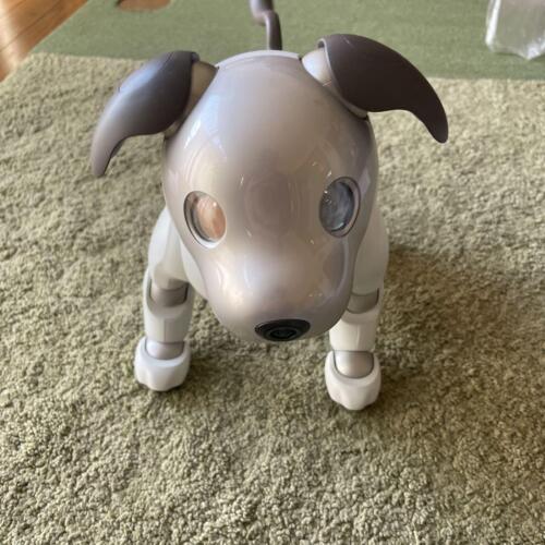 Aibo Haupteinheit ERS1000 mit Product Key SONY Spielzeug Hobbys Ware Hund Haustier - Bild 3 von 10