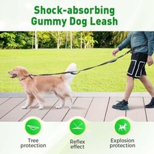 Hands Free Dog Leash With Waist Zipper Pouch