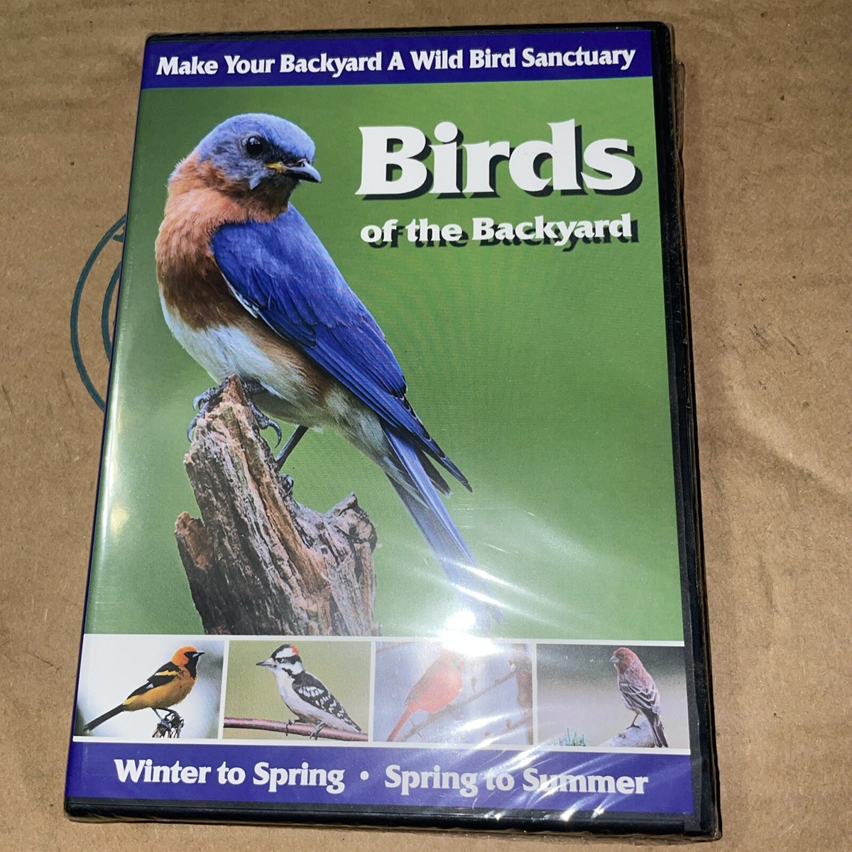 (未使用･未開封品)Birds of the Backyard [DVD] Birds of the Backyard [DVD]